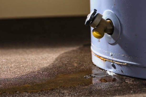 Best 24/7 water damage repair  in Ithaca, MI