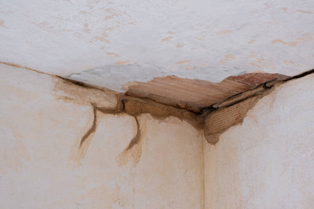 Ithaca, MI Water damage restoration Company