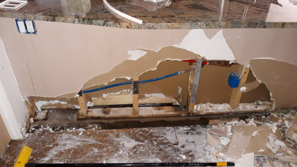 Best Water damage restoration near me  in Ithaca, MI